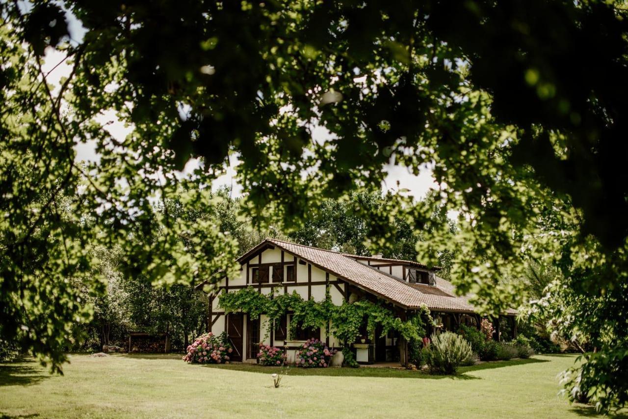 Le Domaine De Petiosse Bed and Breakfast Saint-Julien-en-Born Exteriör bild