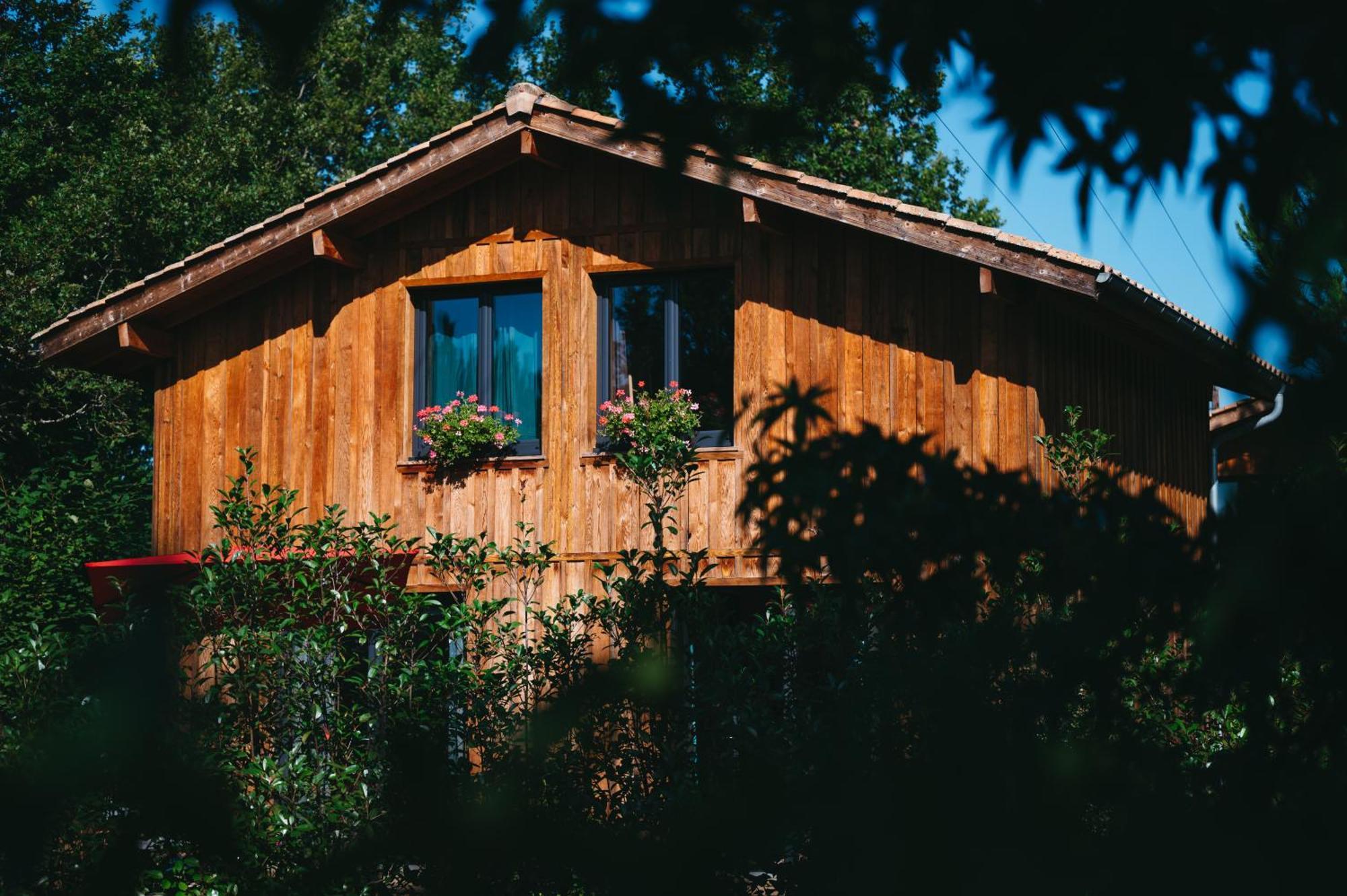 Le Domaine De Petiosse Bed and Breakfast Saint-Julien-en-Born Exteriör bild